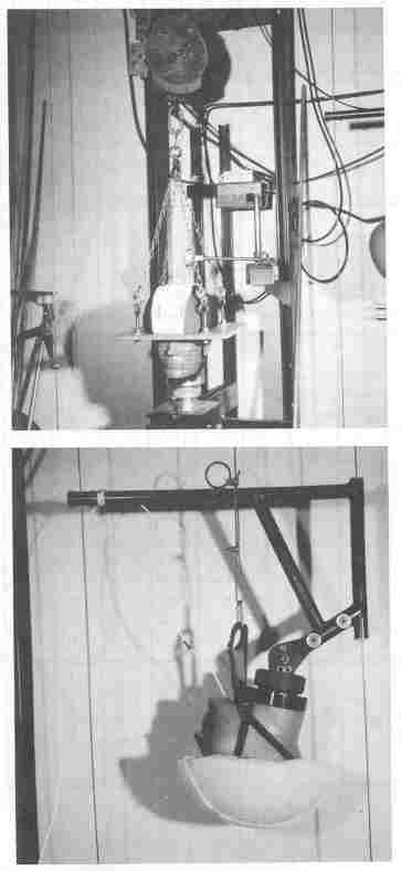 Hodgson study figure 4